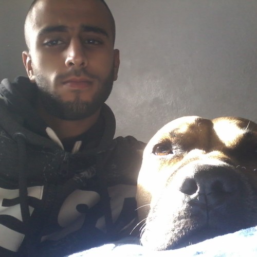 Hedi B.