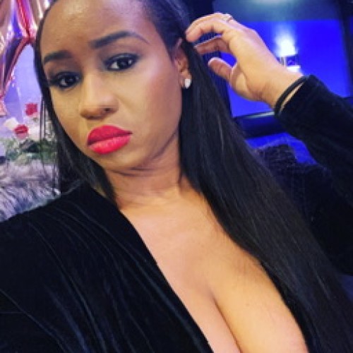 sheba t.