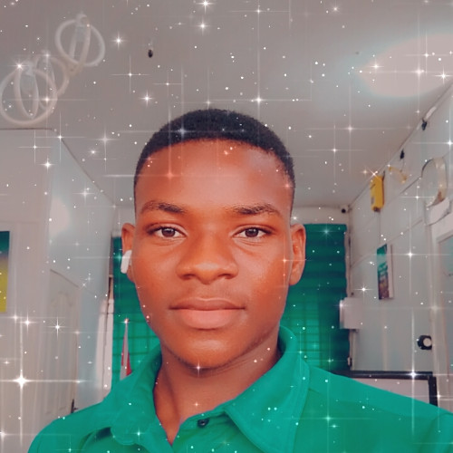 Isaac Z. profile photo