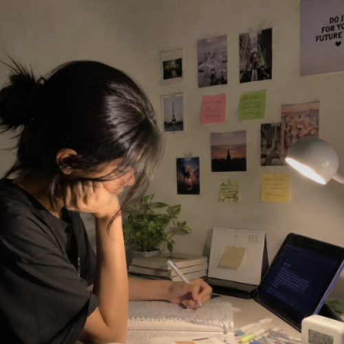Nura S. profile photo