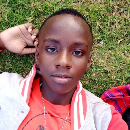 michell  o. profile photo