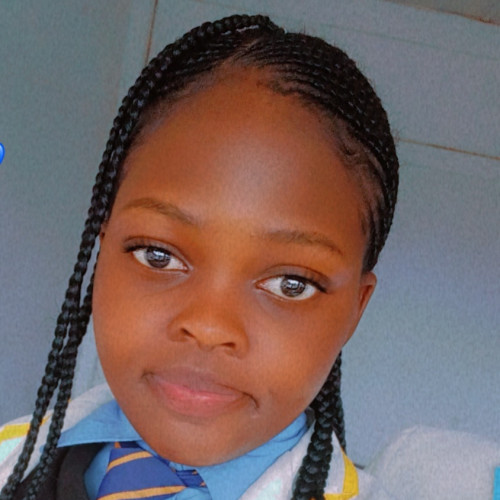 Ropafadzo Emile T. profile photo