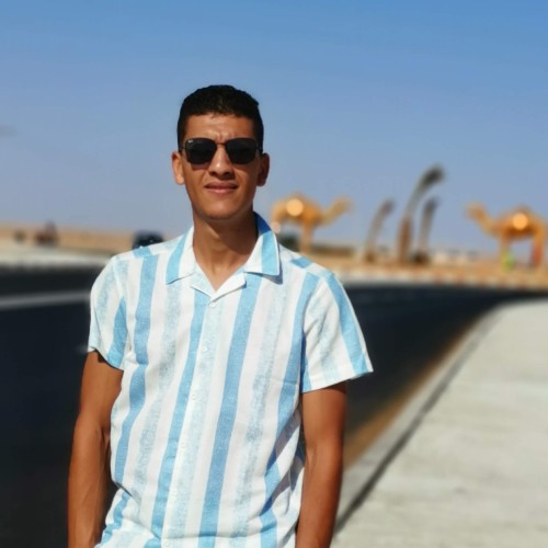 hamid b. profile photo