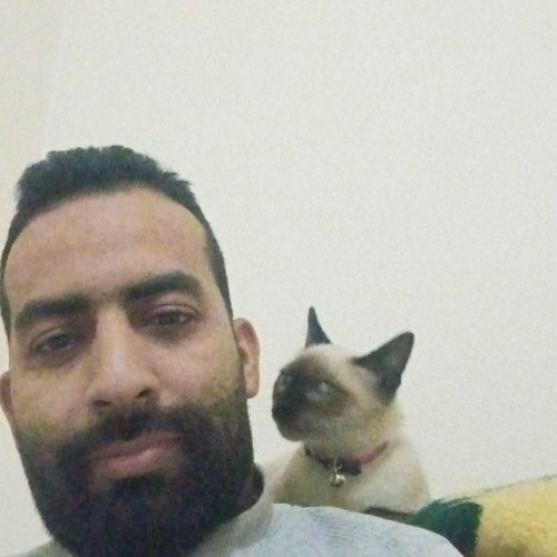 Aadil H. profile photo