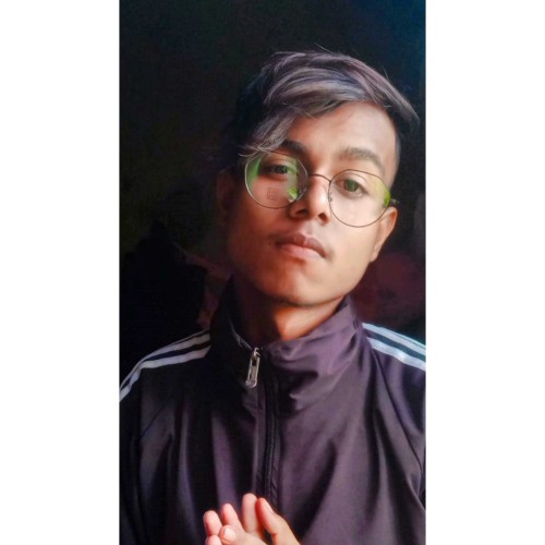 Biswajit D.