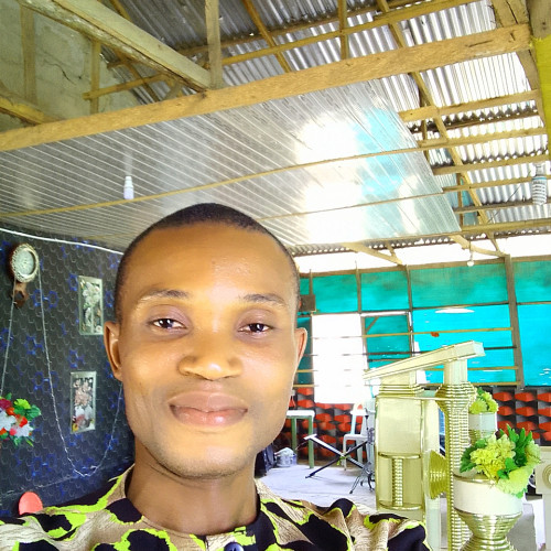Ifeanyi  N. profile photo