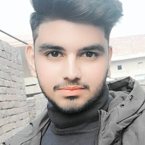Faizan A.