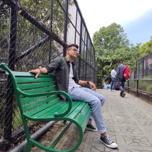 vishal p.