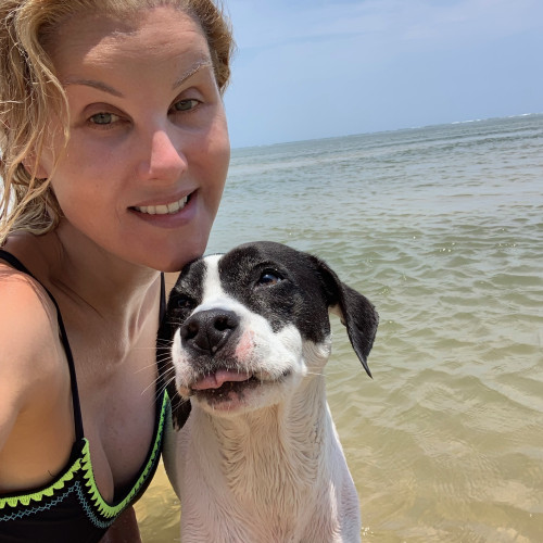 India B. profile photo