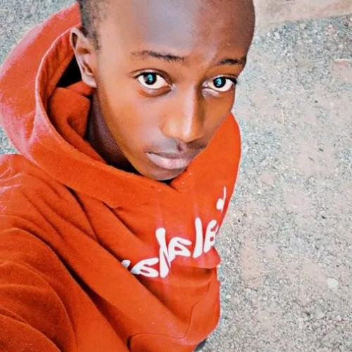 Tom L. profile photo