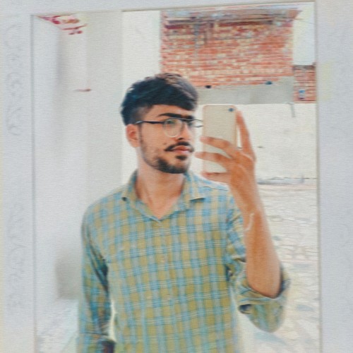 Priyansh N.