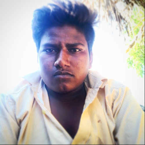 Shiv S. profile photo