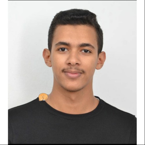 Nassroallah R.