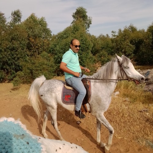 Mohammed  T. profile photo