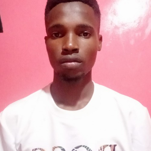 Peter M. profile photo