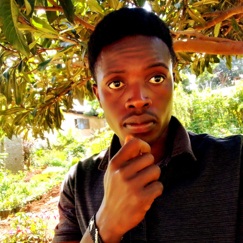 KLEIN M. profile photo