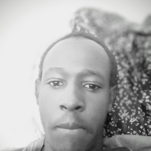 Linus R. profile photo