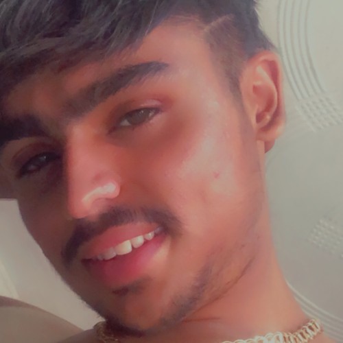 Partap S.