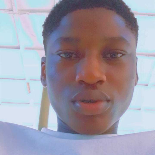 David A. profile photo