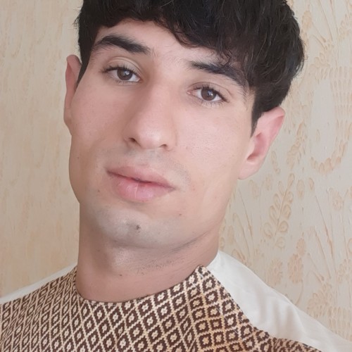 Saidshah S. profile photo