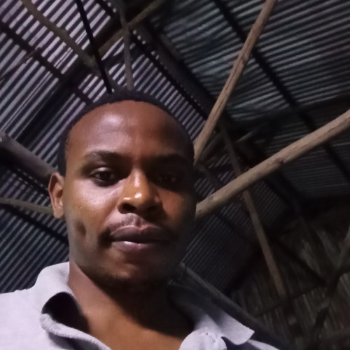 Daniel  M. profile photo