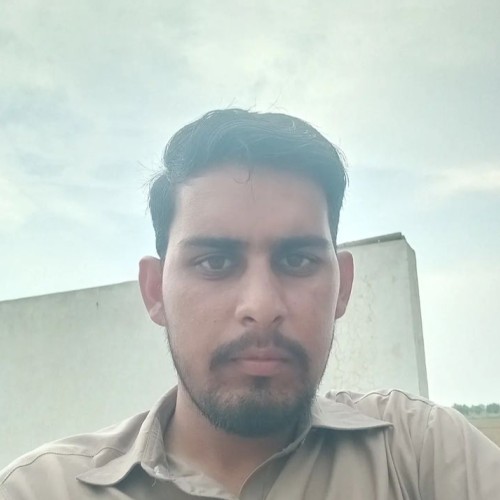Muhammad F.