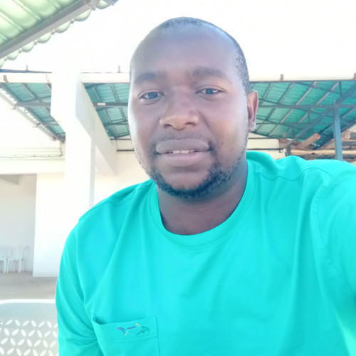 Henry S. profile photo