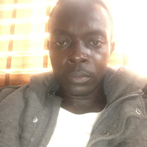 Shola O. profile photo