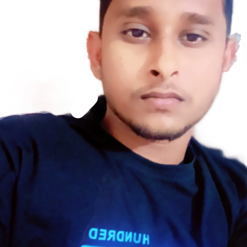 Sanzidul R. profile photo