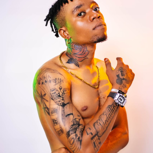 Daniel N. profile photo