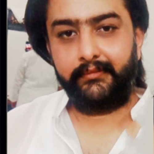 Qaisar  N. profile photo