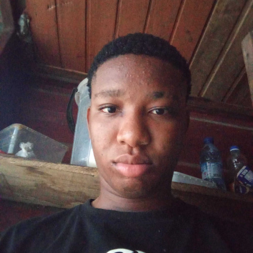Kachi D.