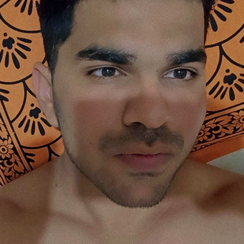 Kevin P. profile photo