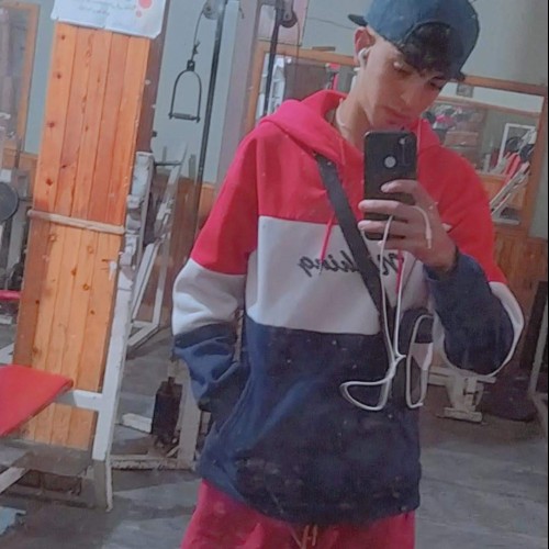 mostafa m. profile photo