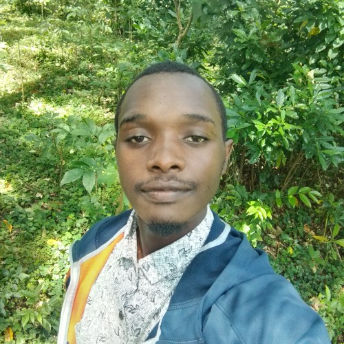 Ronaldina  H. profile photo