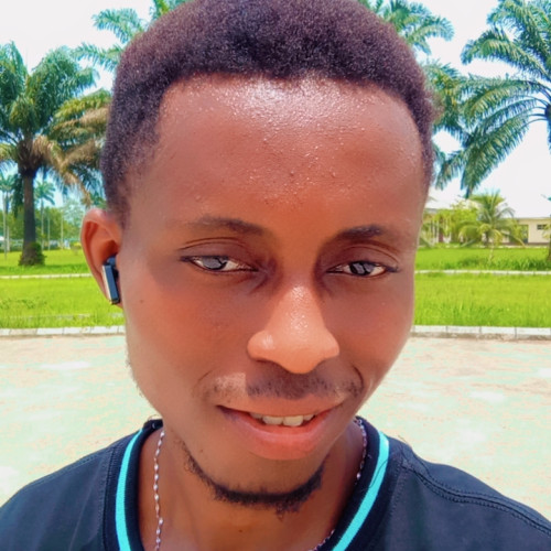 Daniel N. profile photo