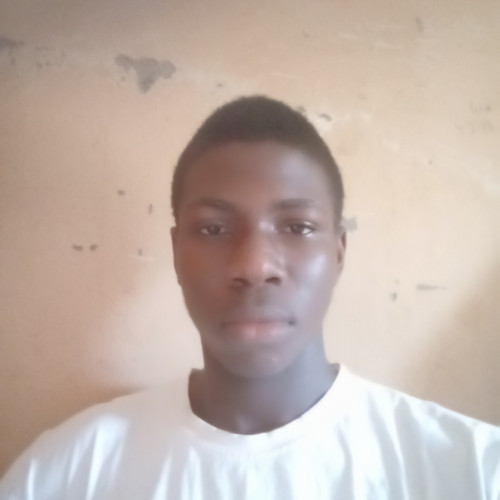 Adebayo  D. profile photo