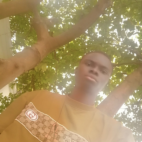 Akinbode K. profile photo