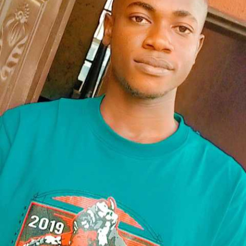 Nwojiji T. profile photo