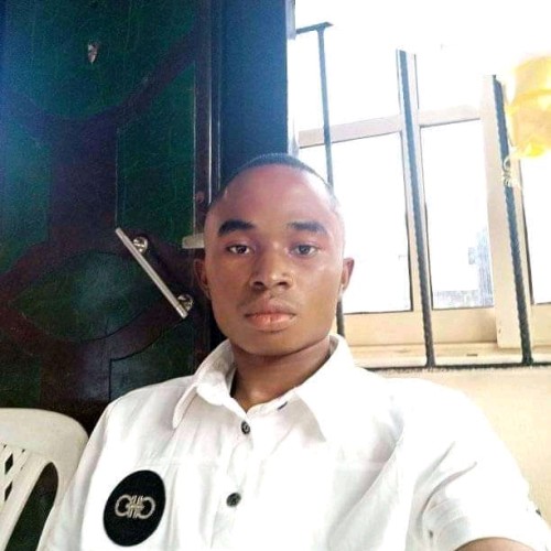 Ifeanyi  N. profile photo