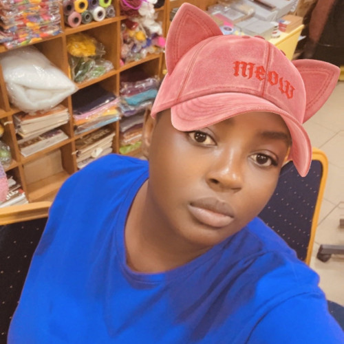 Adeniyi S. profile photo