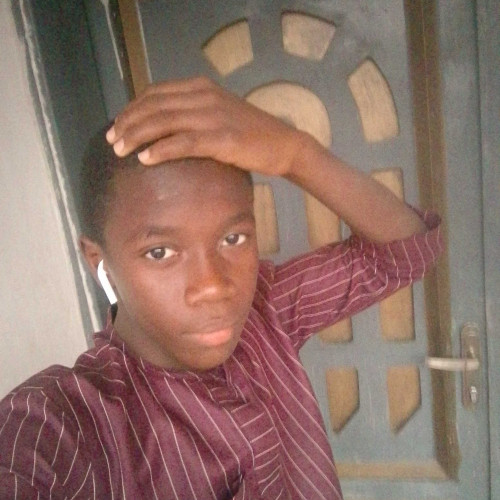 Ibrahim T. profile photo