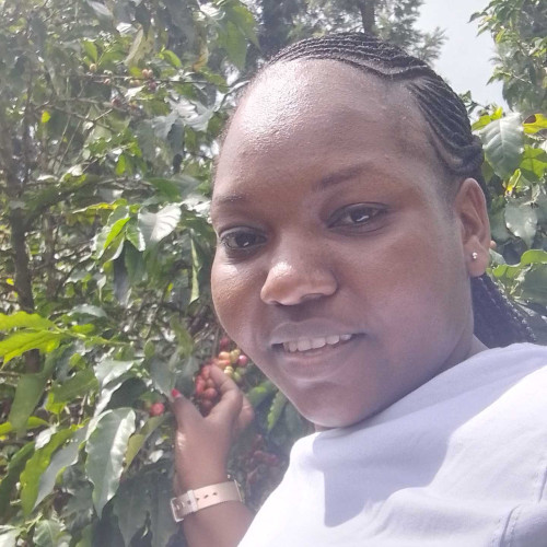 Elizabeth n. profile photo