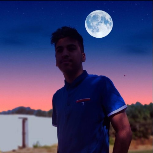 hamza n. profile photo