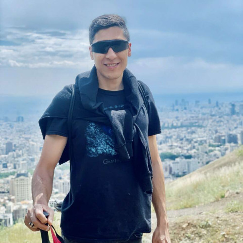 mohsen n.