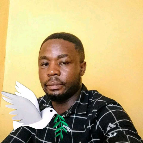 NGUM Stephen S. profile photo