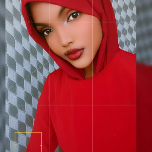 muwahib l. profile photo