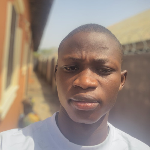Ayoola A. profile photo