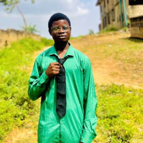 Kolawole A. profile photo