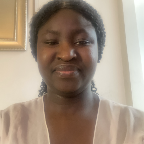 Abisola  O. profile photo